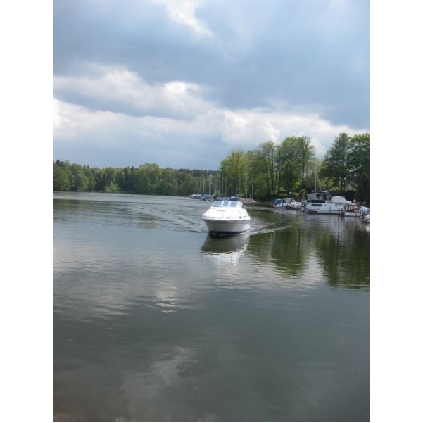 Andere&nbsp;&nbsp;Sea Ray 230 DA&nbsp;Deutschland&nbsp;Anderes&nbsp;Bild 1